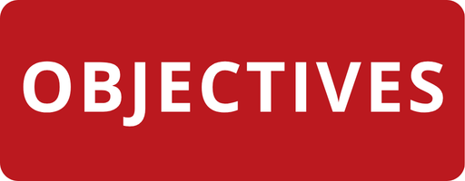 Objectives M2IS