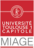 MIAGE Toulouse - Logo